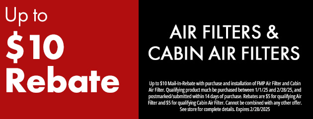 Air Filters and Cabin Air Filters